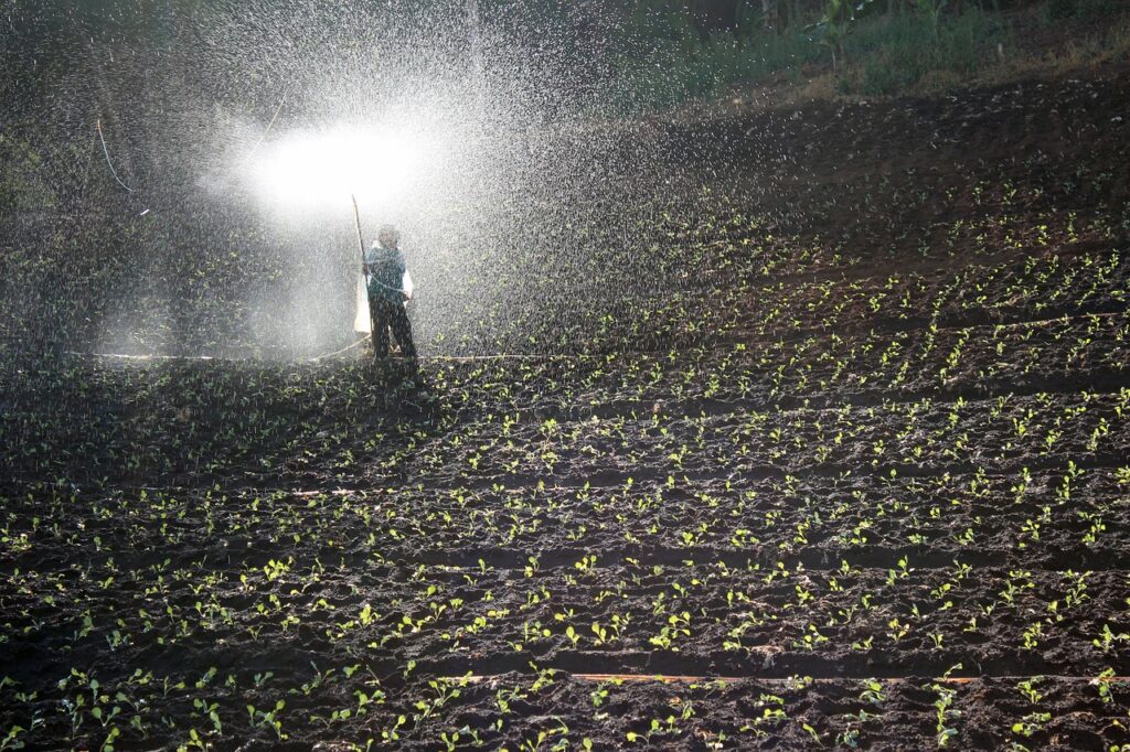 a man spraying chemicals in his garden