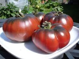 Black Krim tomatoes