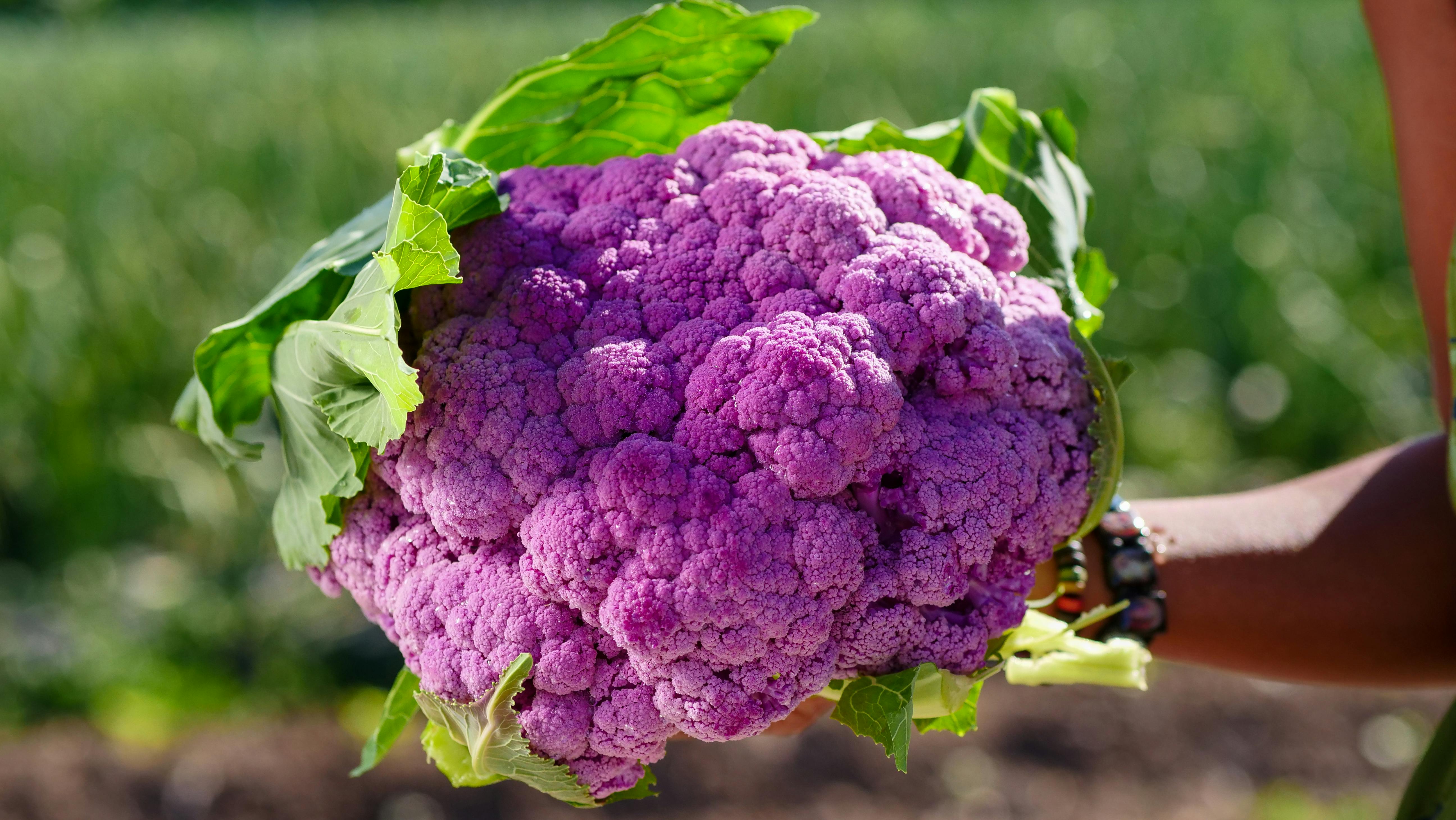 Cauliflower