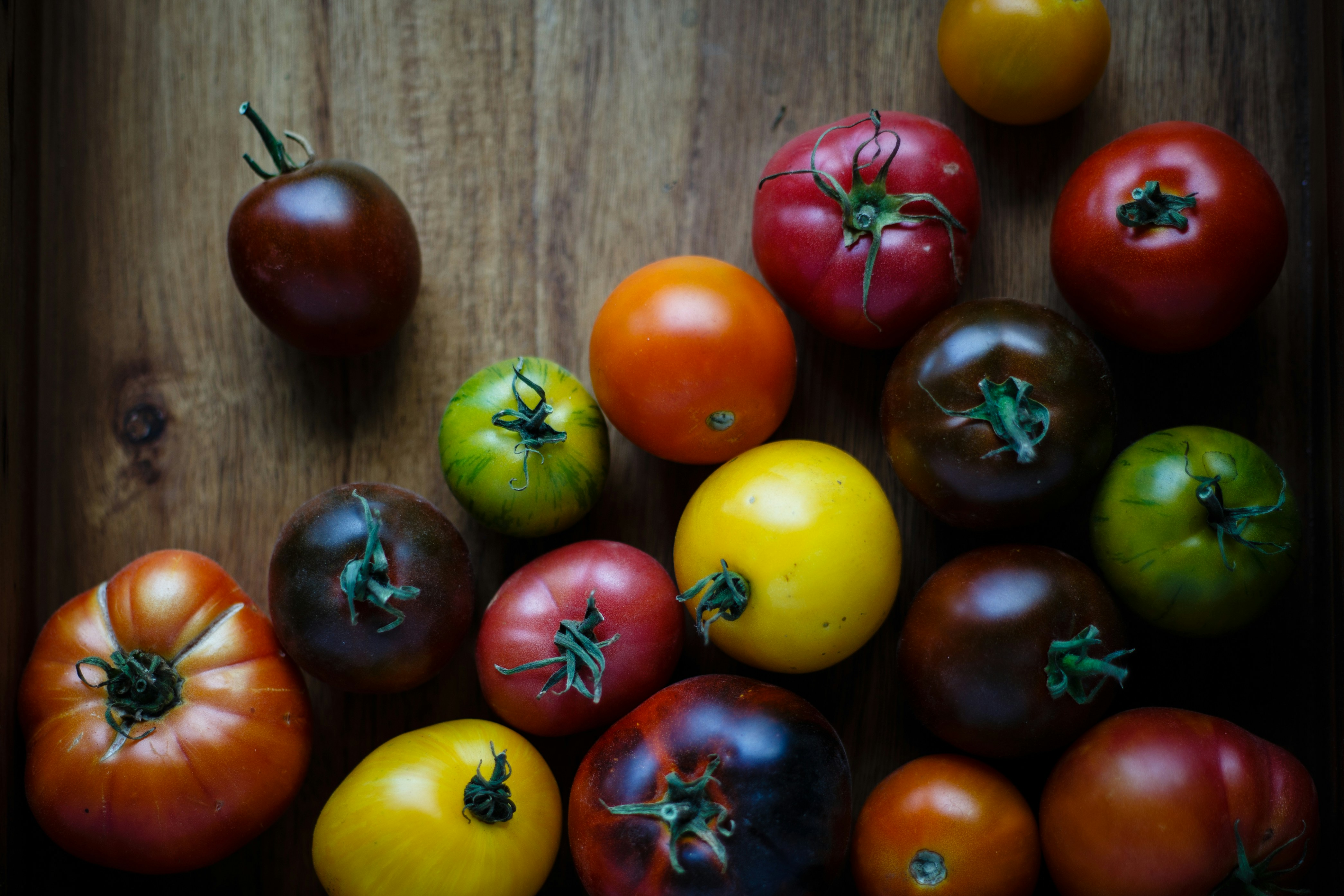 juicy Rainbow heirloom tomatoes