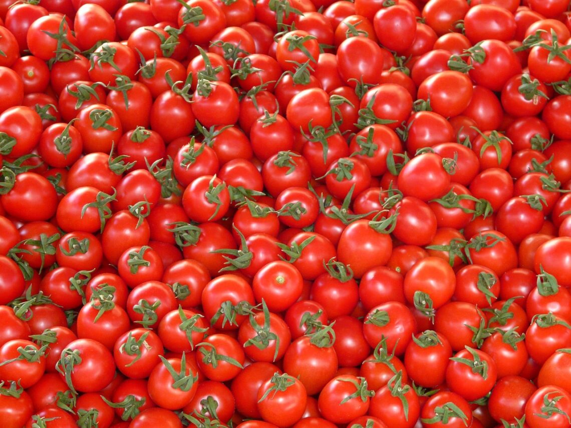 SuperSweet 100 Tomatoes 4