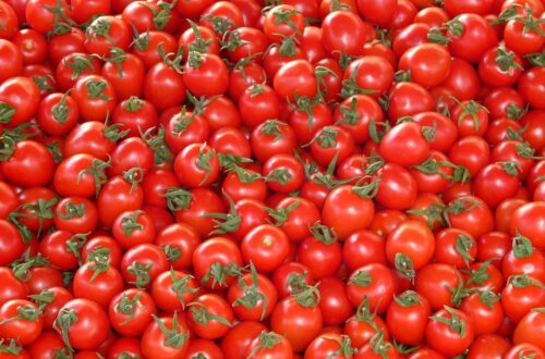 SuperSweet 100 Tomatoes 4