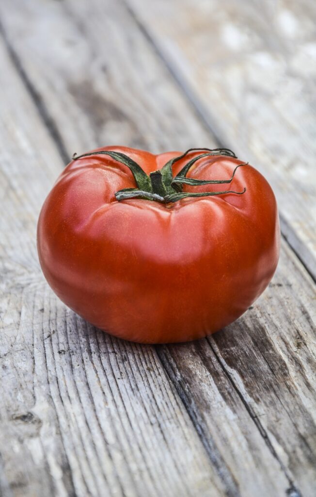 brandywine heirloom tomato