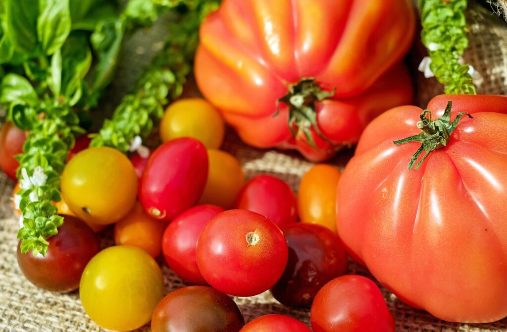 different sizes of tomatoes