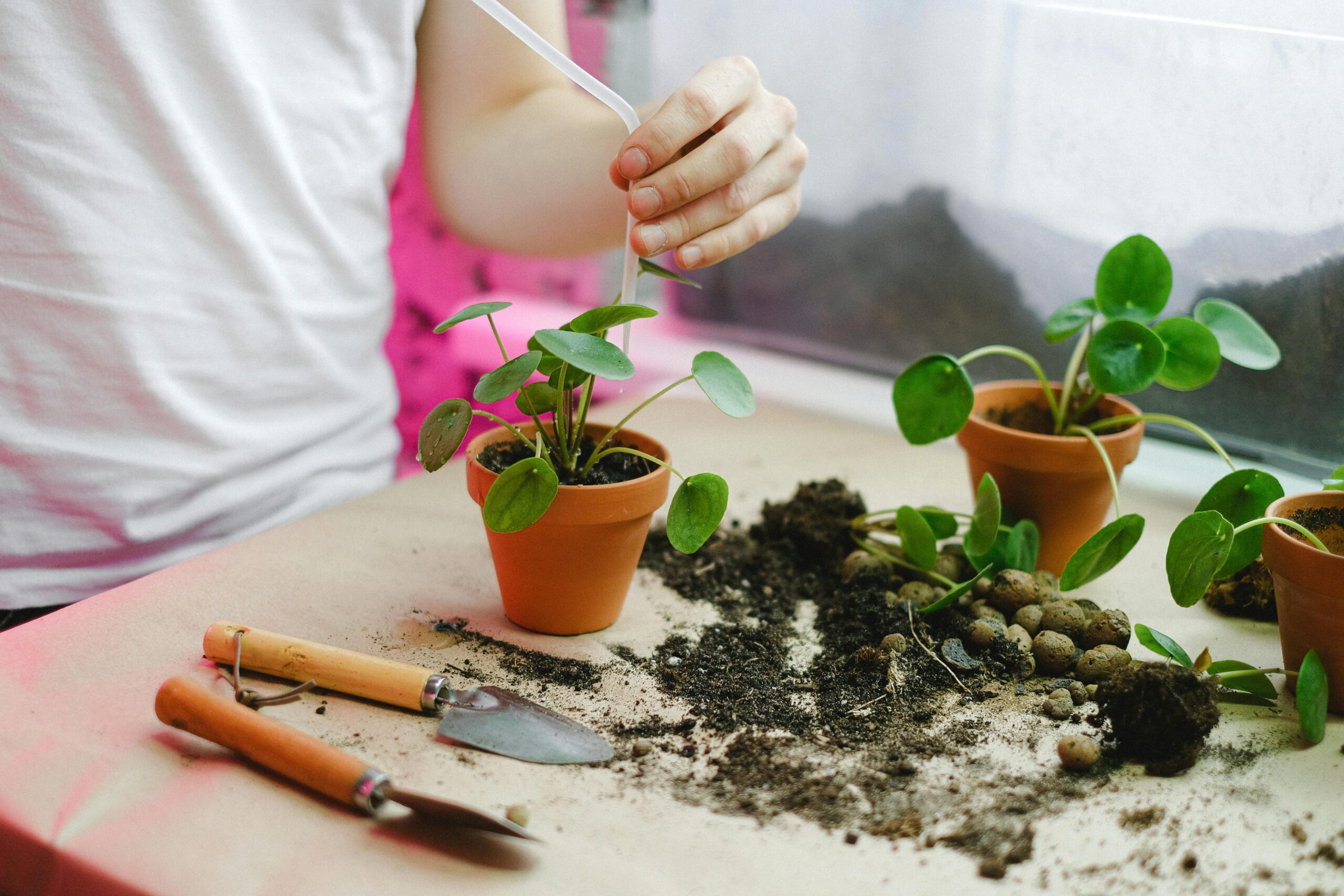 gardening tools