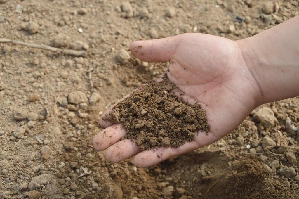 man holding soil in his palm