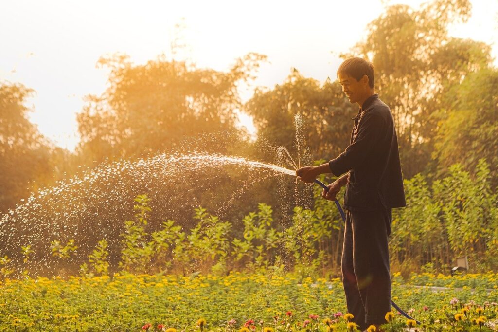 man watering his field