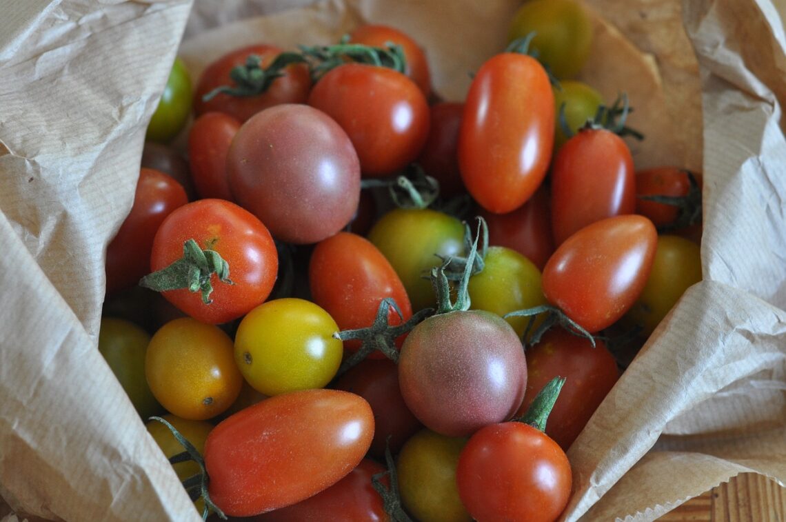 multiple cherry tomatoes