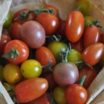 multiple cherry tomatoes