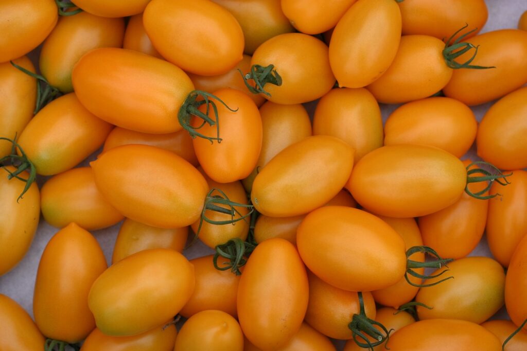 yellow Roma tomatoes