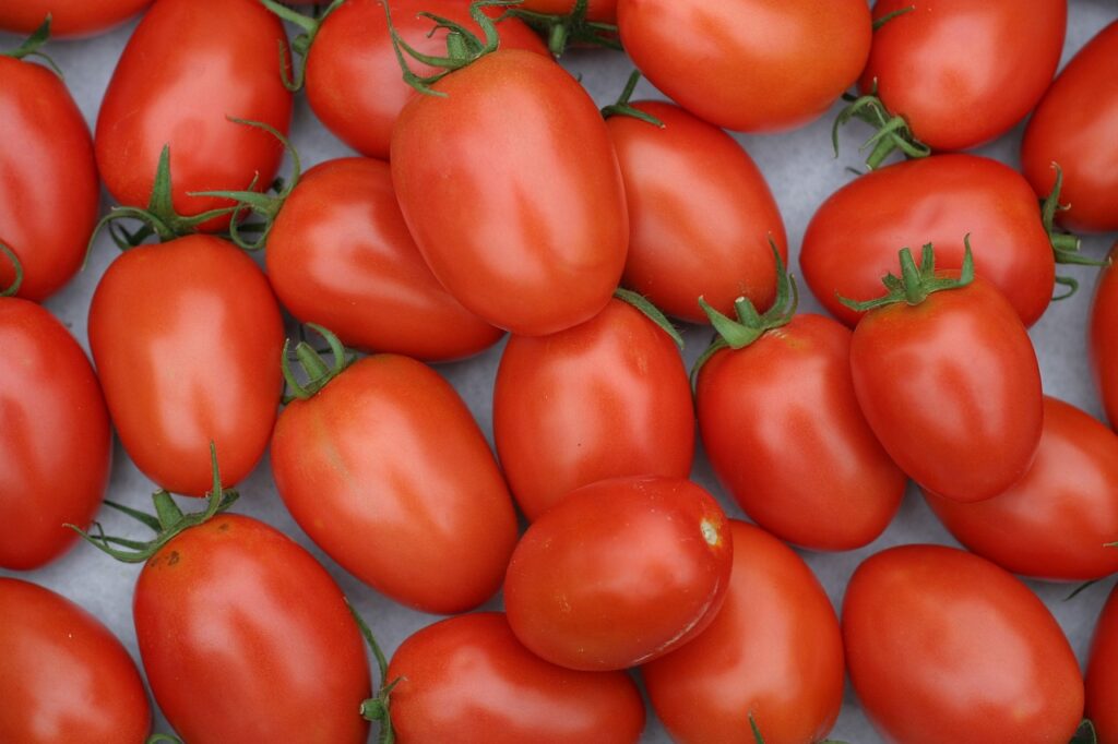 roma-tomatoes-variety