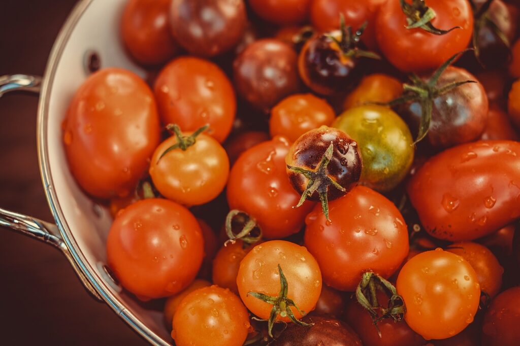 tomatoes roma variety