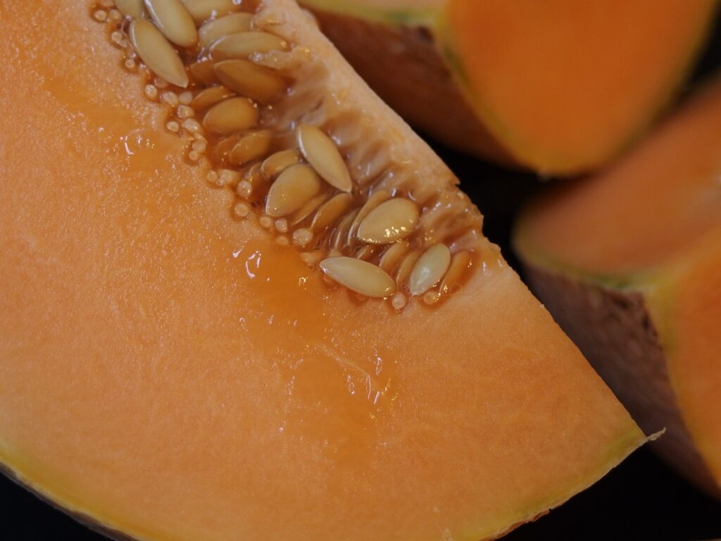 Cantaloupe Cultivars