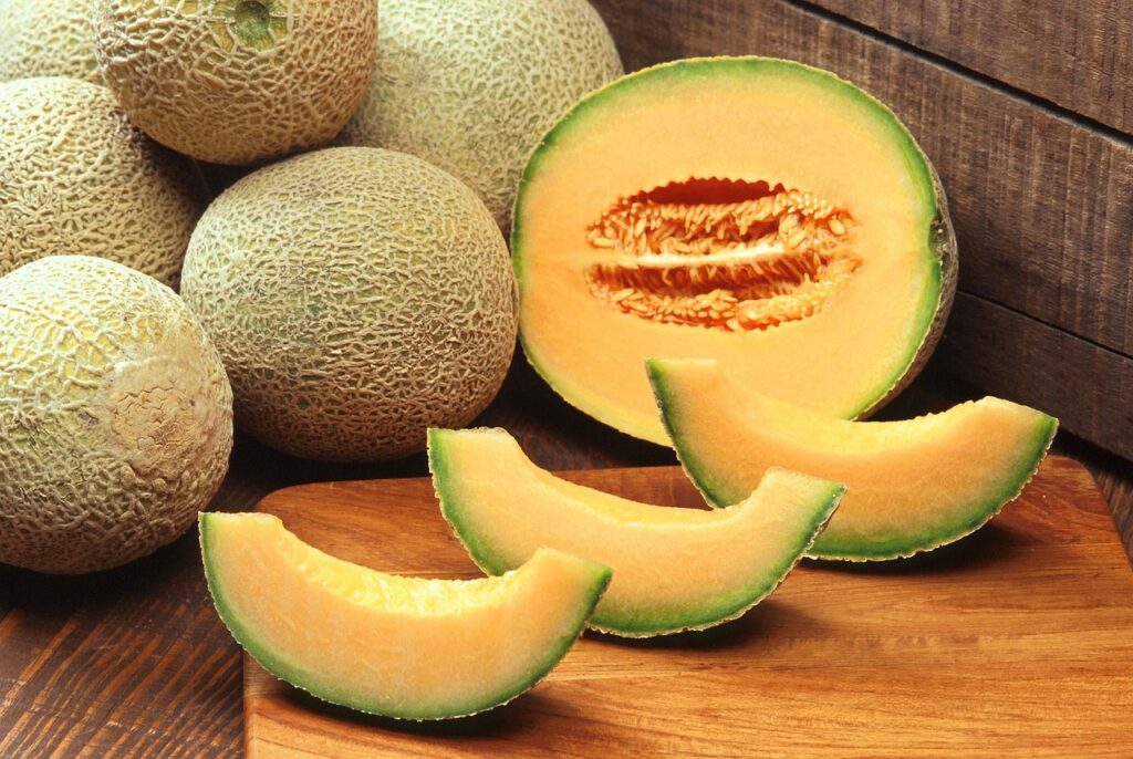 Cantaloupe Cultivars 