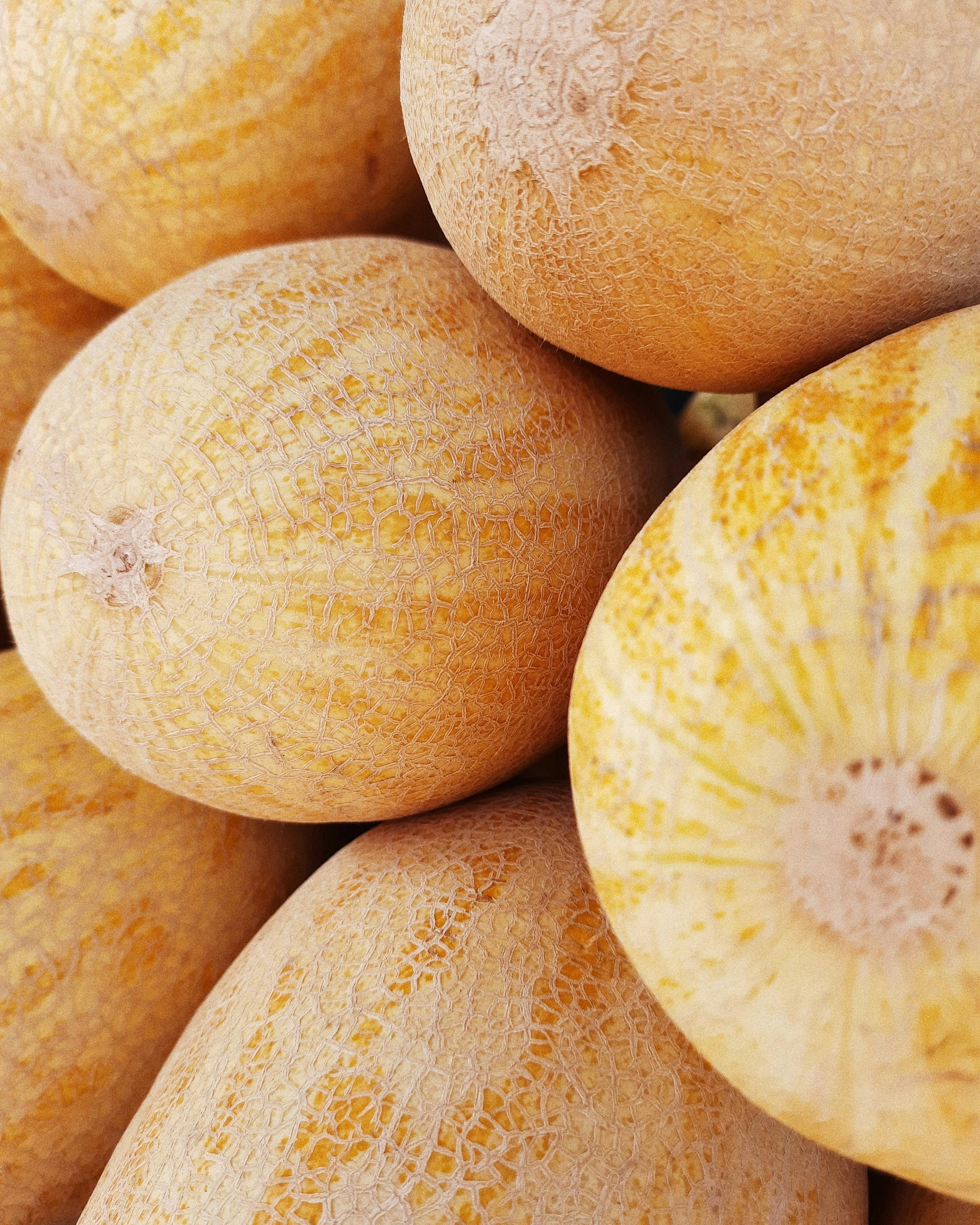 whole Cantaloupe Cultivars