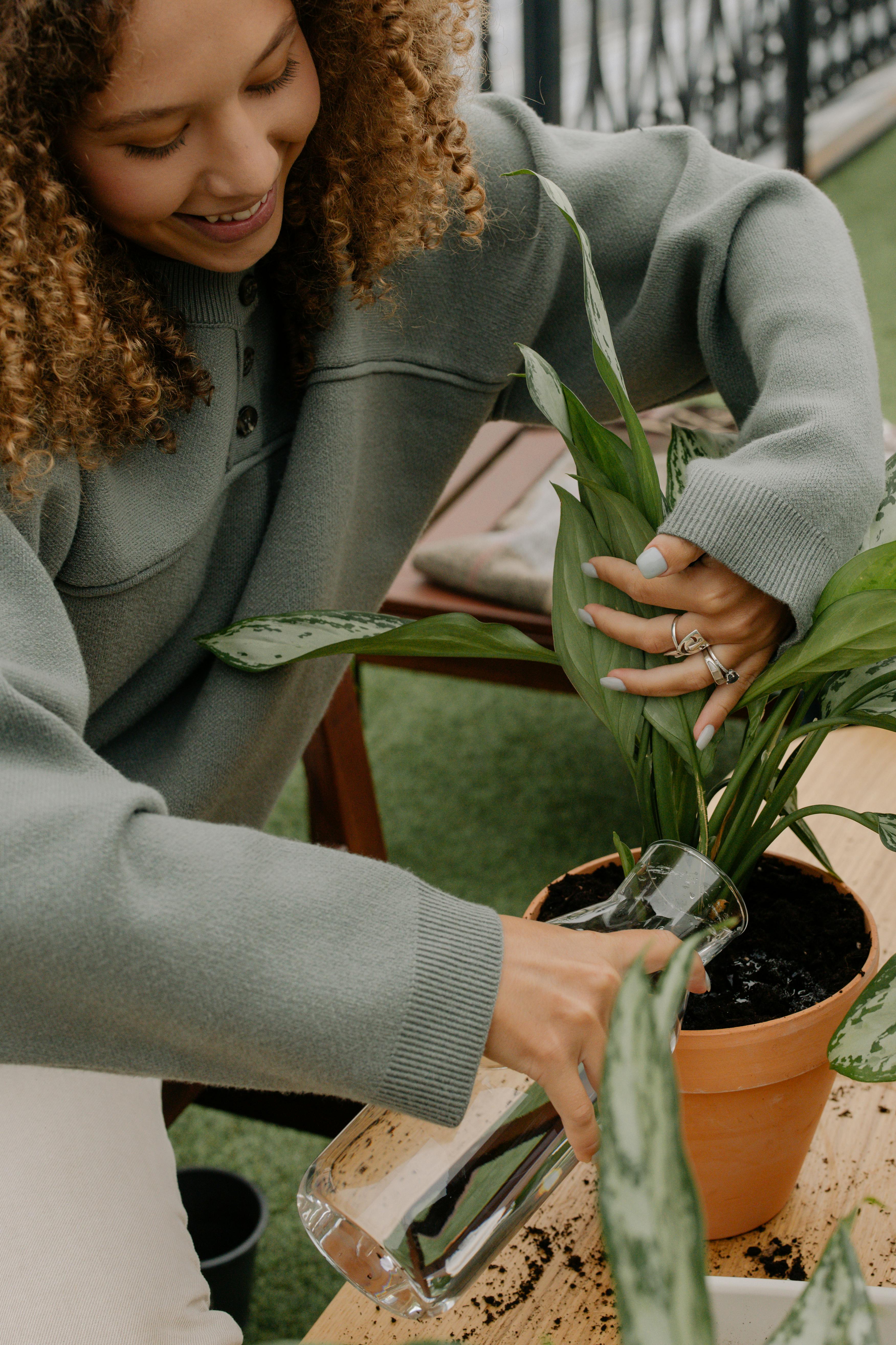 woman watering Snake Plant