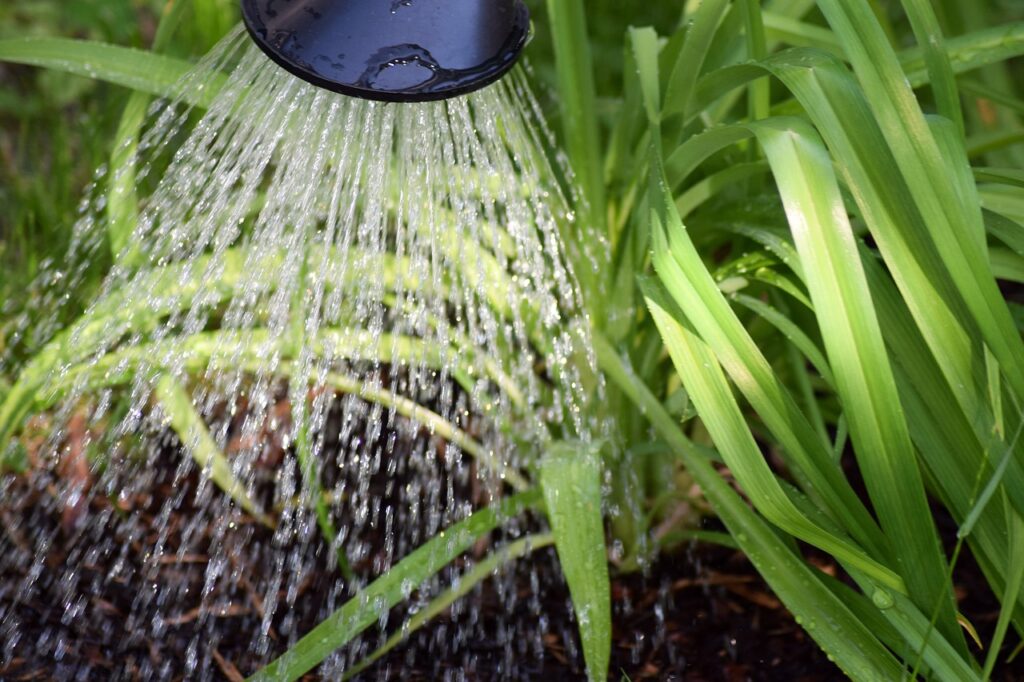 a woman watering her garden