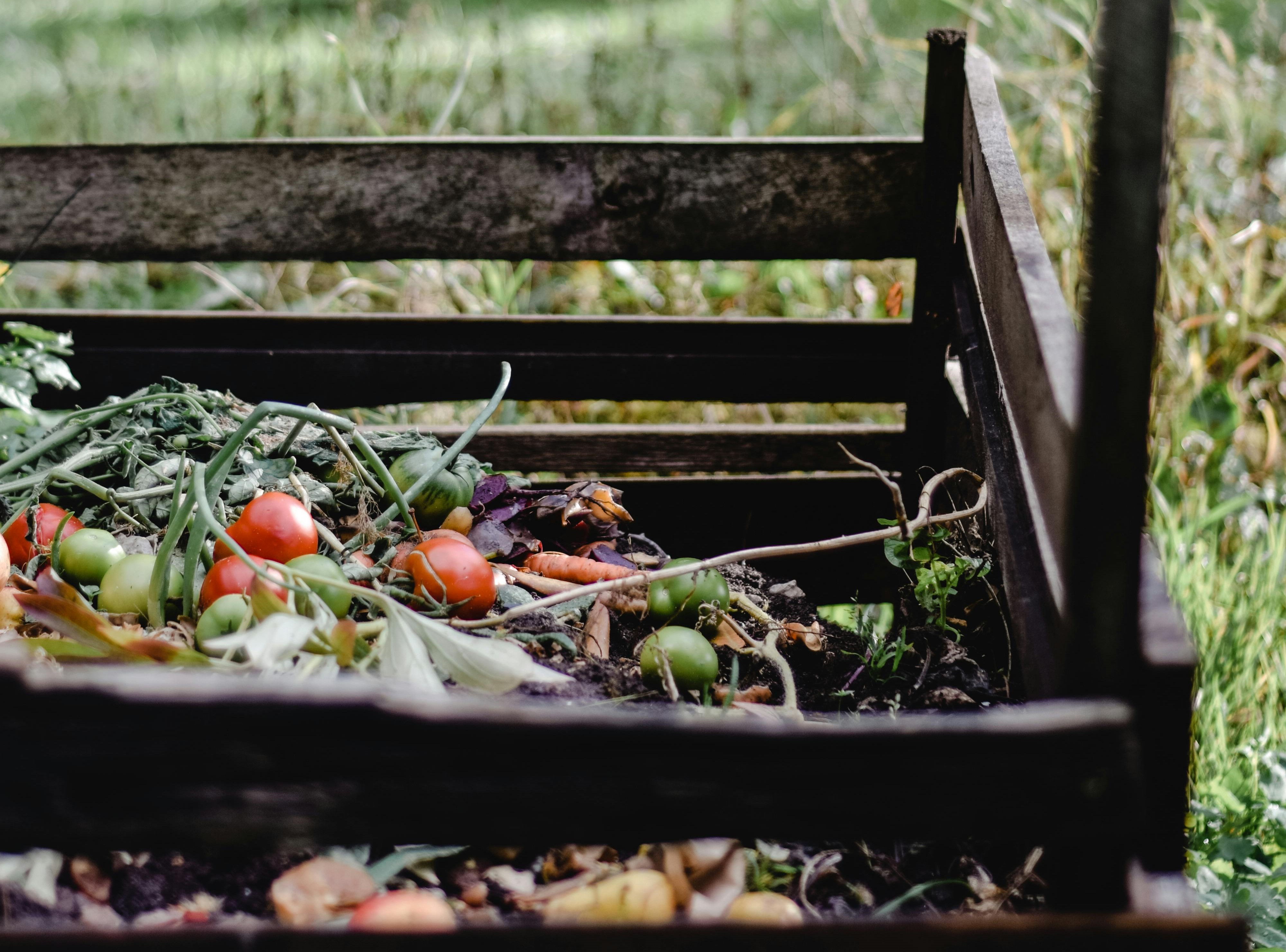 composting garden