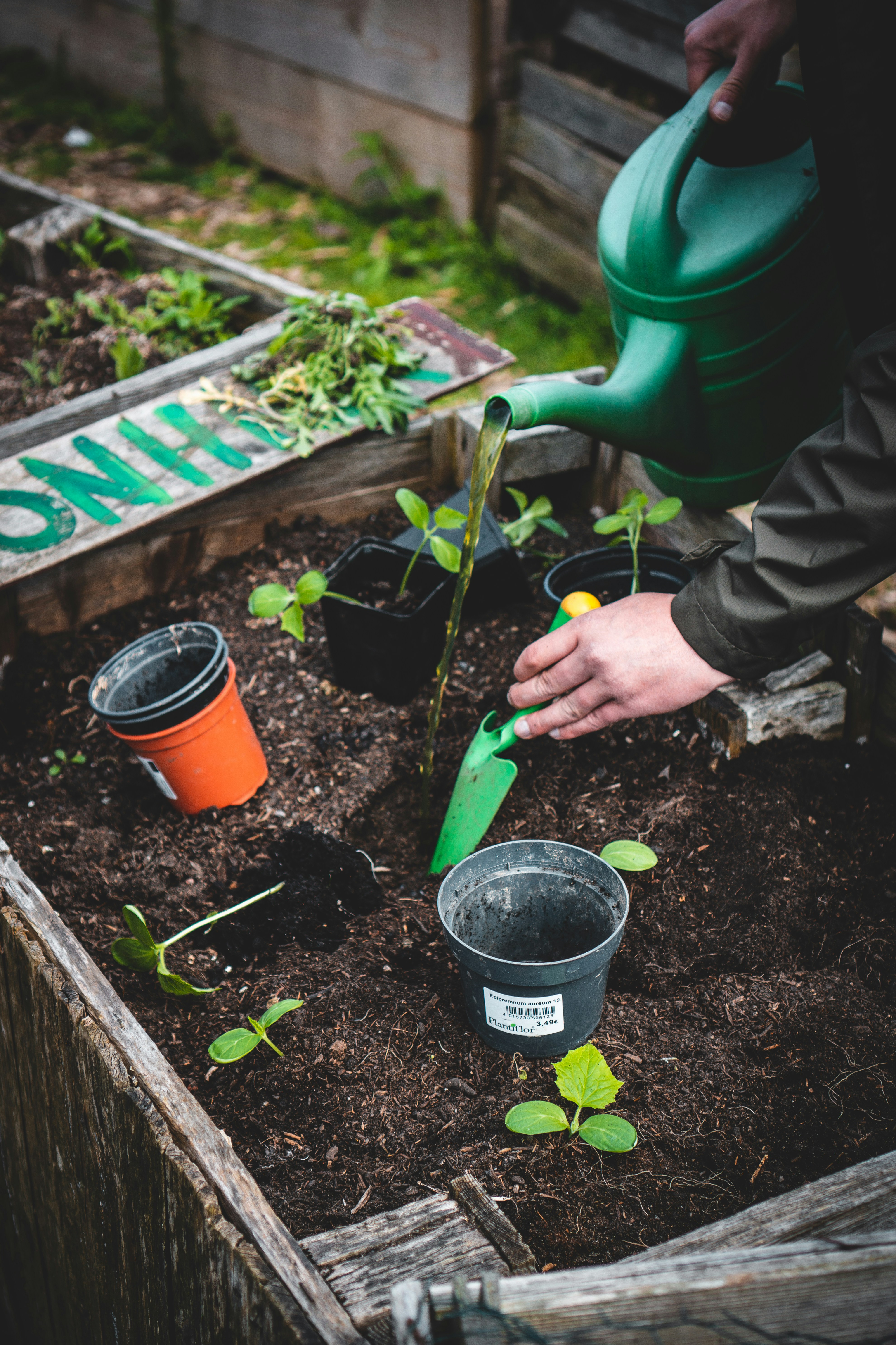 planting pots