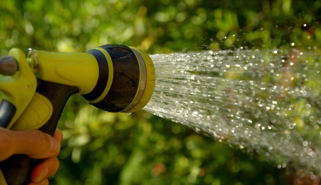 watering flowers